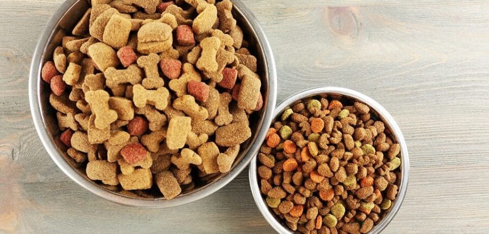 Learn How to Make Sure Your Pets Wellness Cat And Dog Food. 