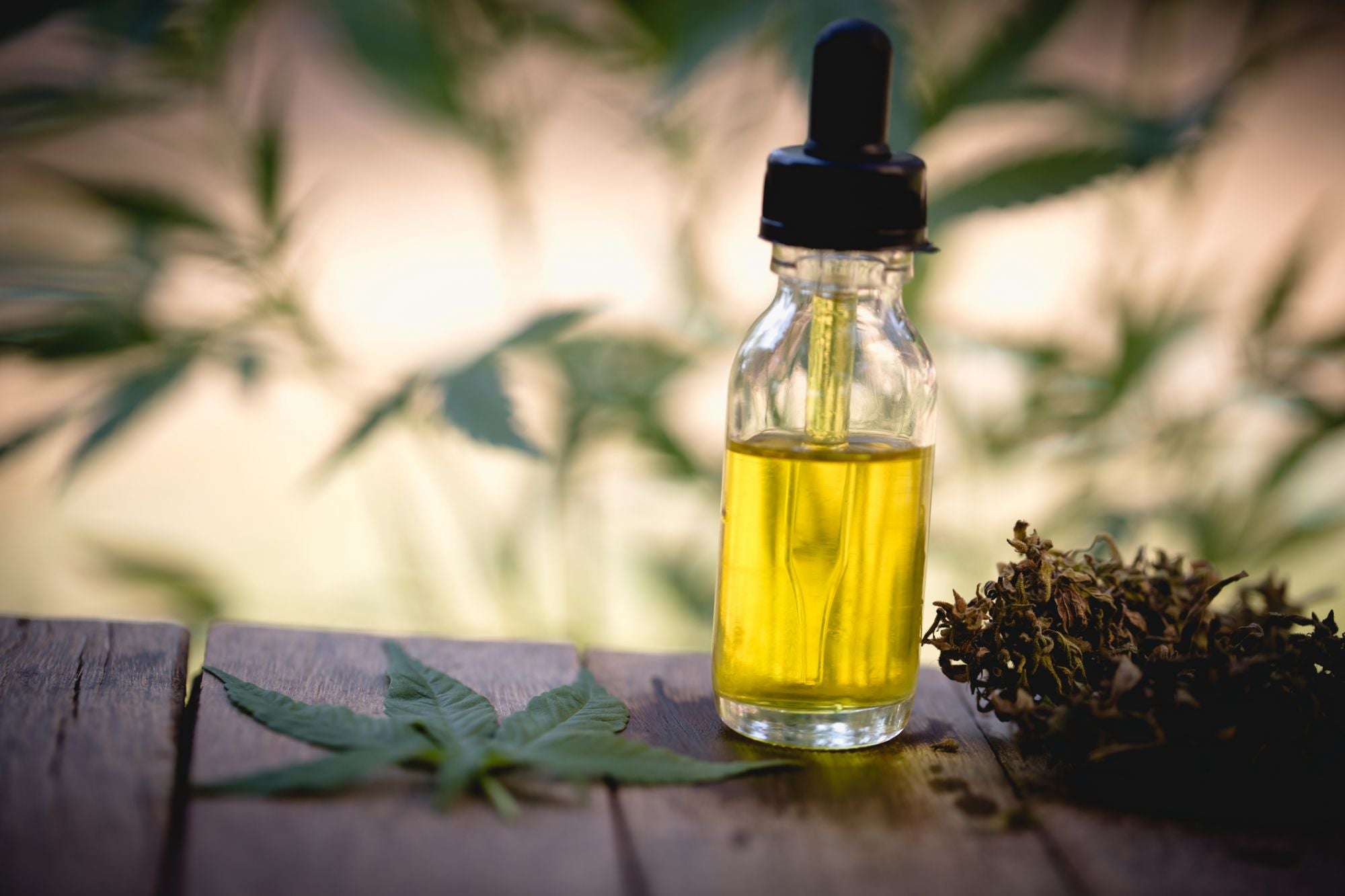 Tips for buying CBD oil