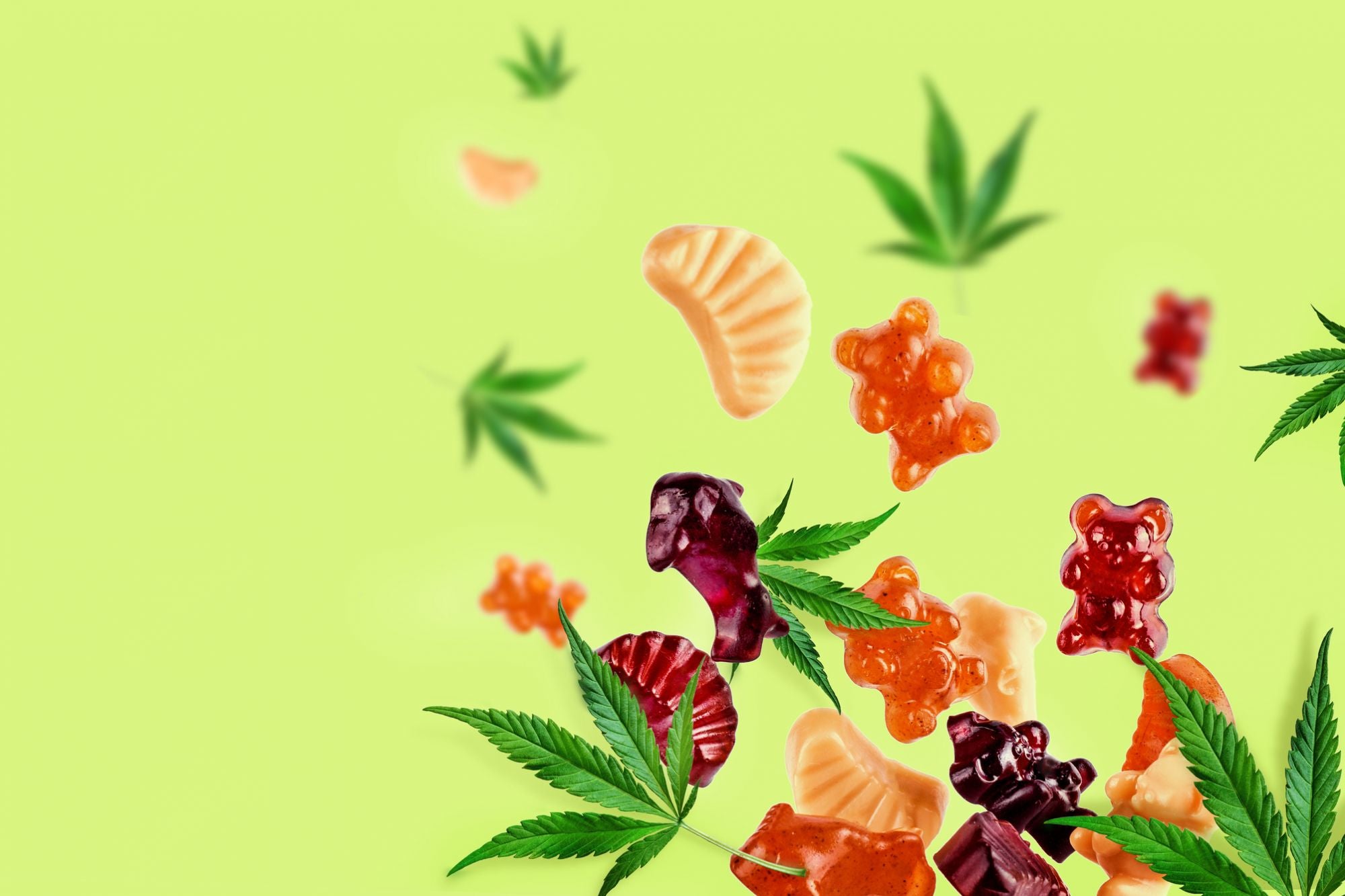 Best CBD Gummies Canada