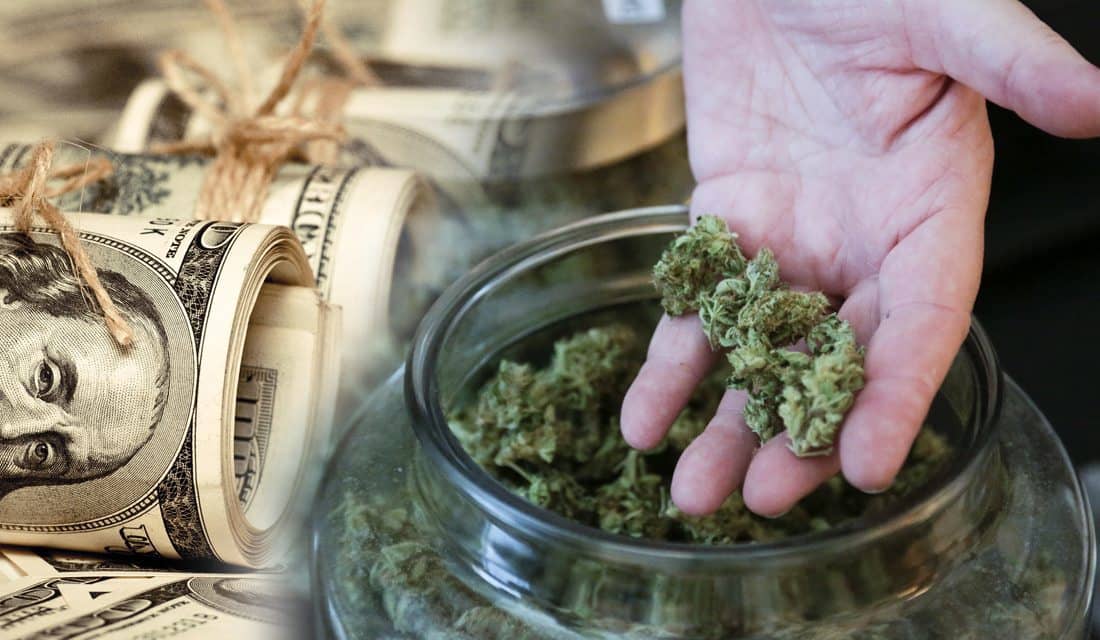 Relaxation Redefined: Best Delta 8 Flower Strains to Unwind