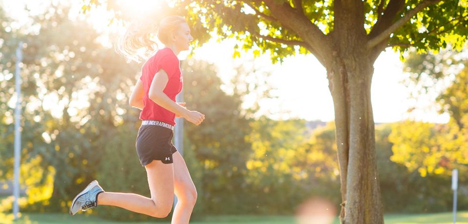 Comprehensive wellness topics inspired by Dr. Mercola’s long-standing contributions